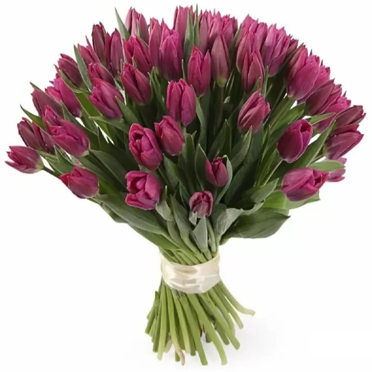 Букет из 51 чернильно-фиолетового тюльпана от AzaliaNow