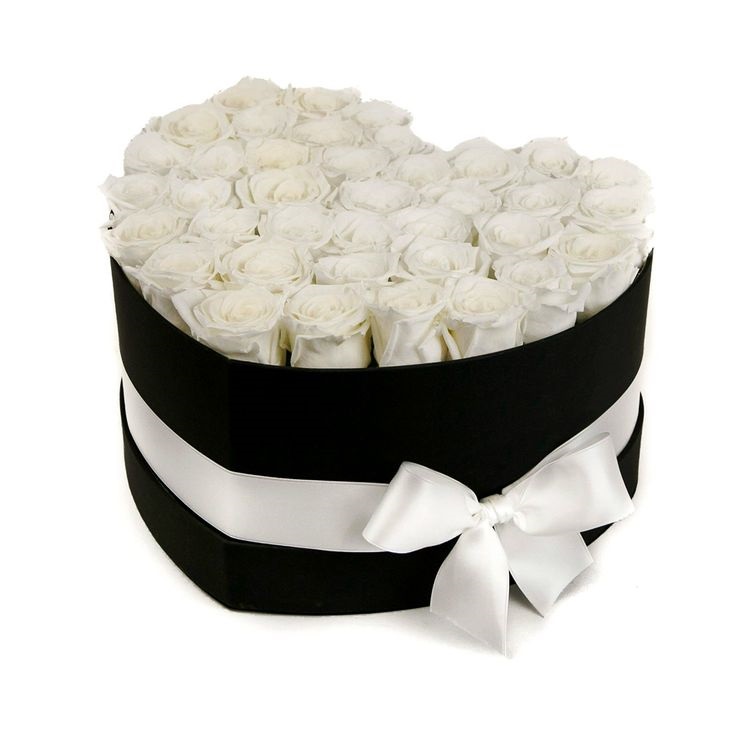 31 белая роза в коробке от AzaliaNow