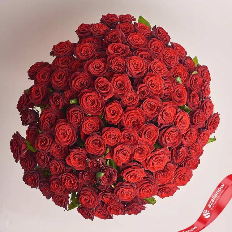 101 красная роза от AzaliaNow