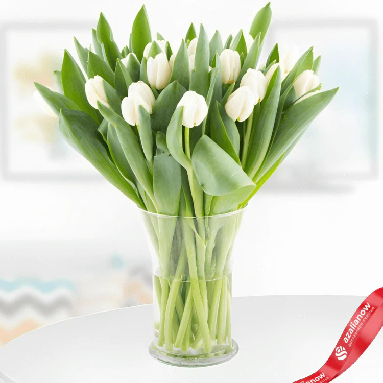 31 белоснежный тюльпан от AzaliaNow
