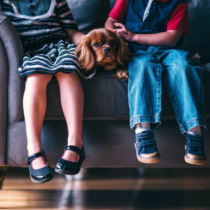 Мальчик и девочка с щенком на диване. Фото: Photorobus.ru