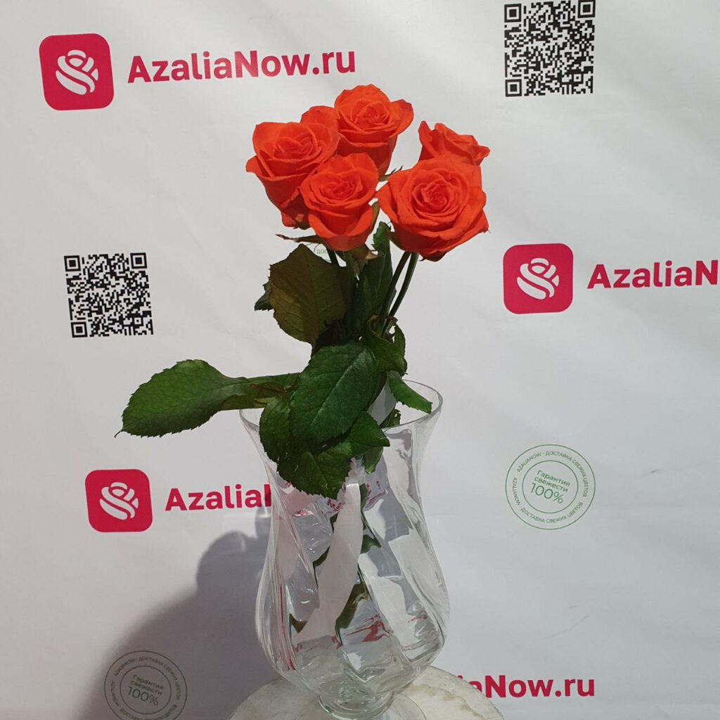 Розы в стеклянной вазе от AzaliaNow