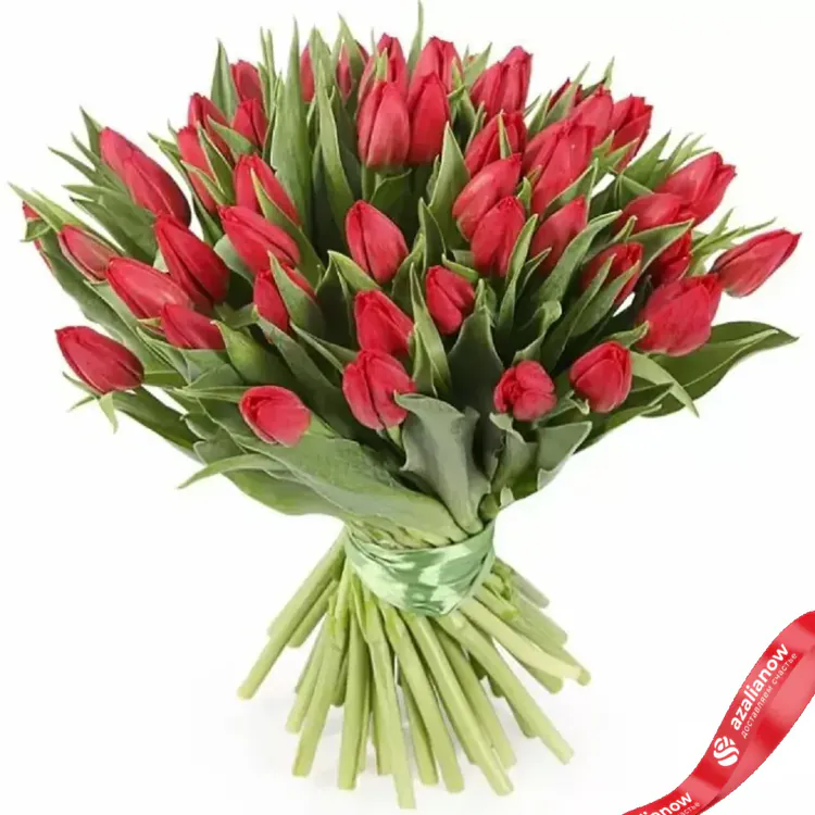 51 красный тюльпан от AzaliaNow