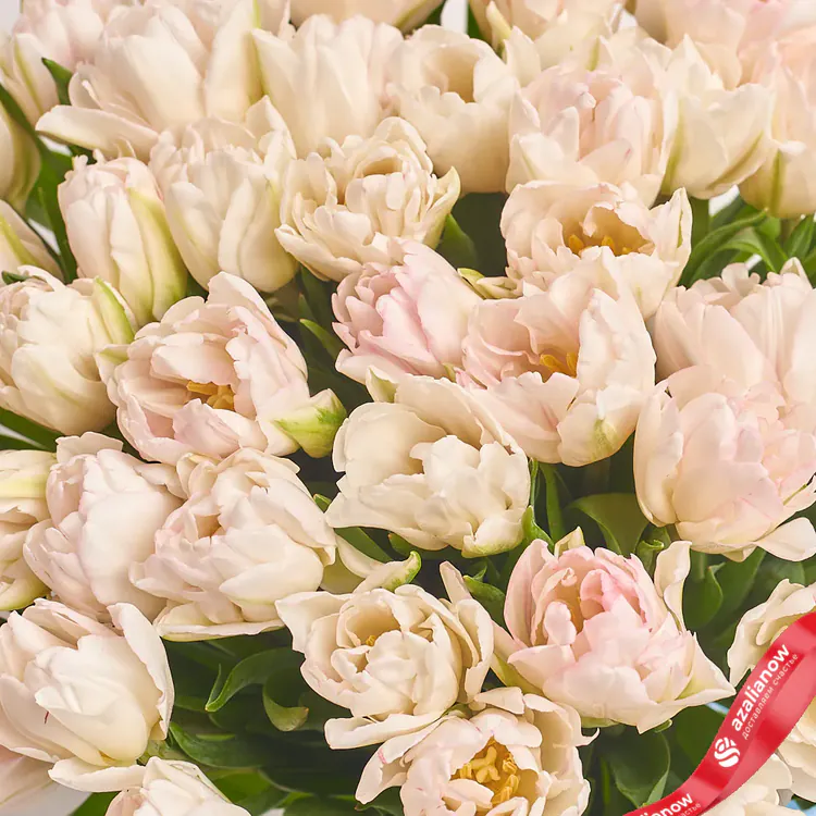 Бело-розовые пионовидные тюльпаны от AzaliaNow