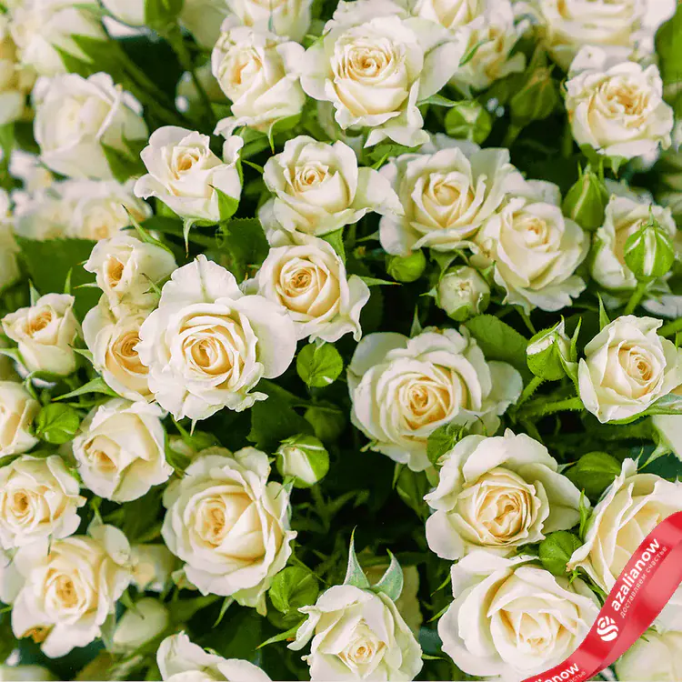 Белые кустовые розы «История любви» от AzaliaNow