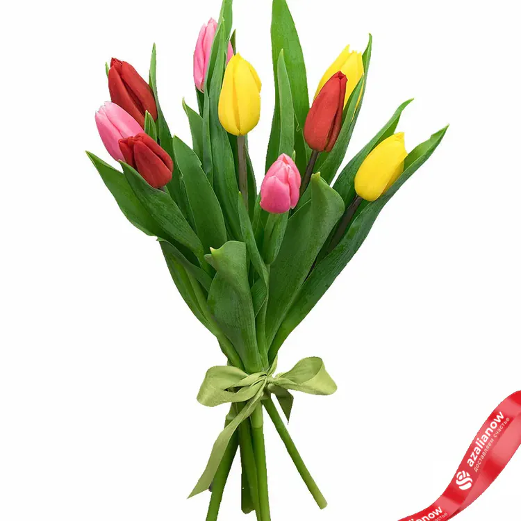 Разноцветные тюльпаны от AzaliaNow