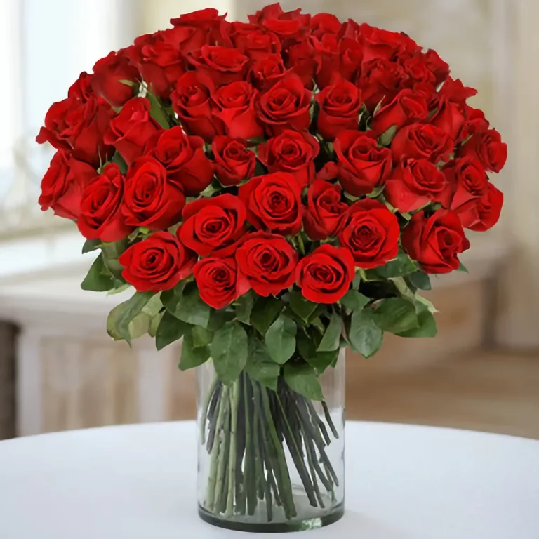 51 красная роза из Эквадора от AzaliaNow