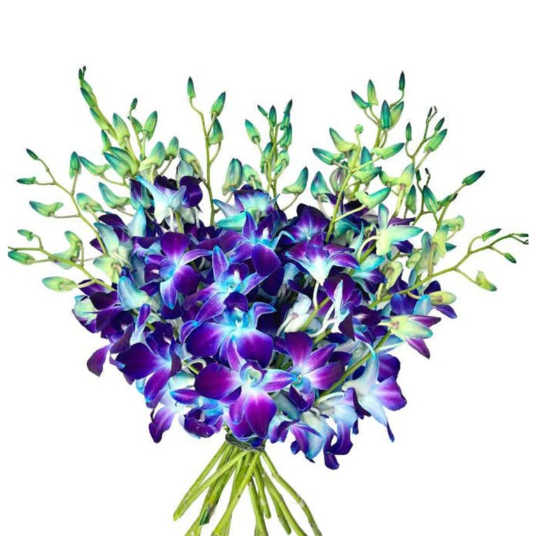 Букет из фиолетовых орхидей «Зиля» от AzaliaNow